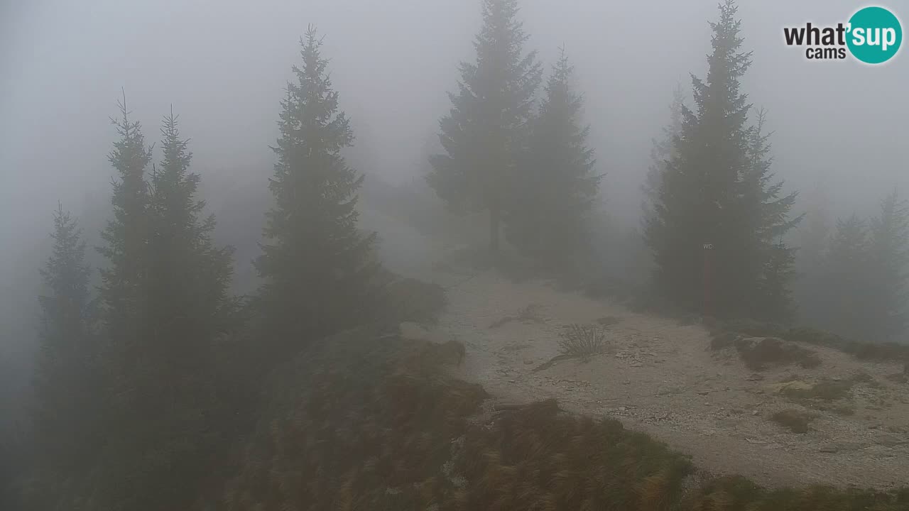 Webcam Koča na Golici (1582 m) – Slovenia