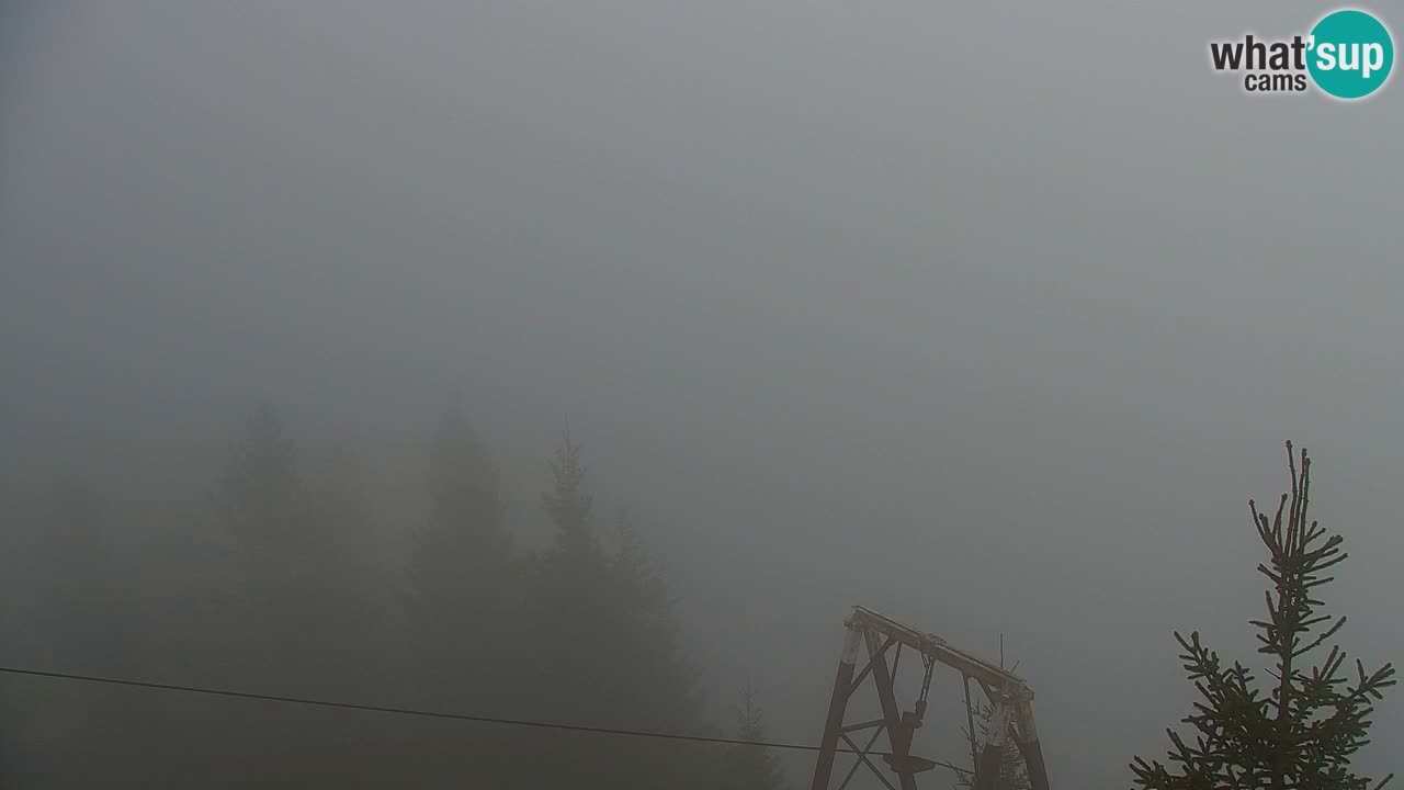 Webcam Koča na Golici (1582 m) – Slovenia