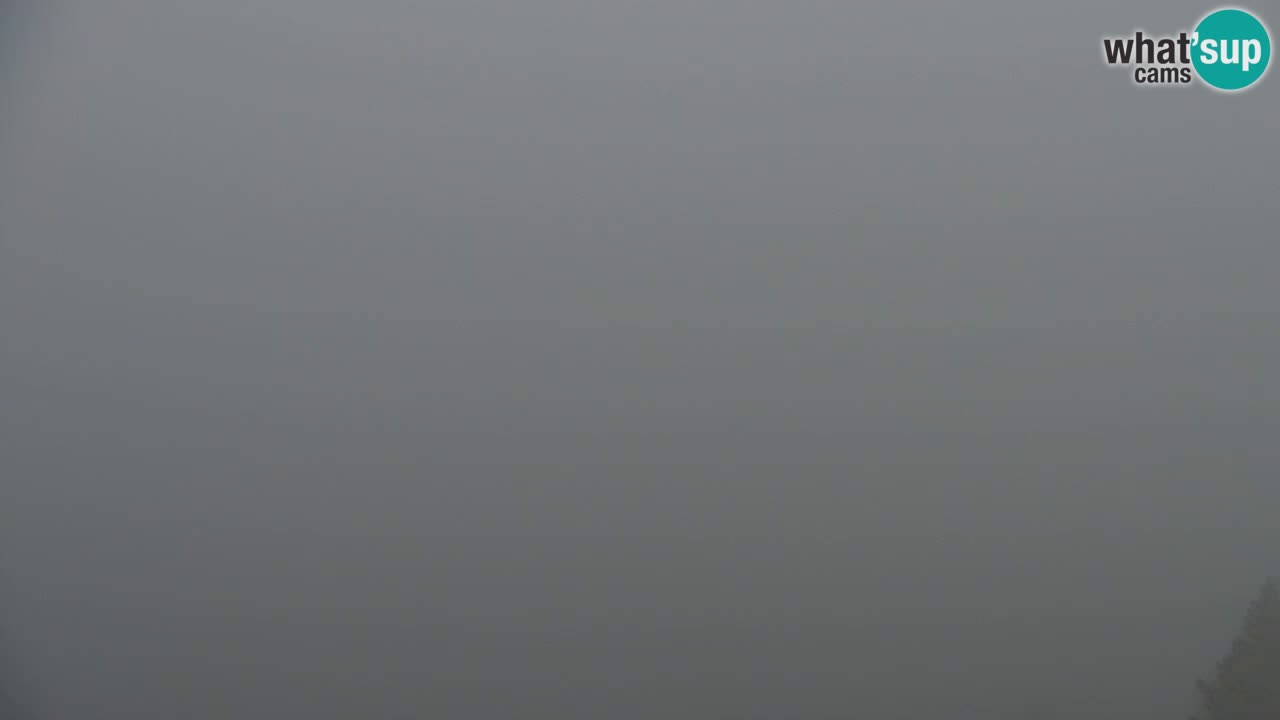 Webcam Koča na Golici (1582 m) – Slovenia