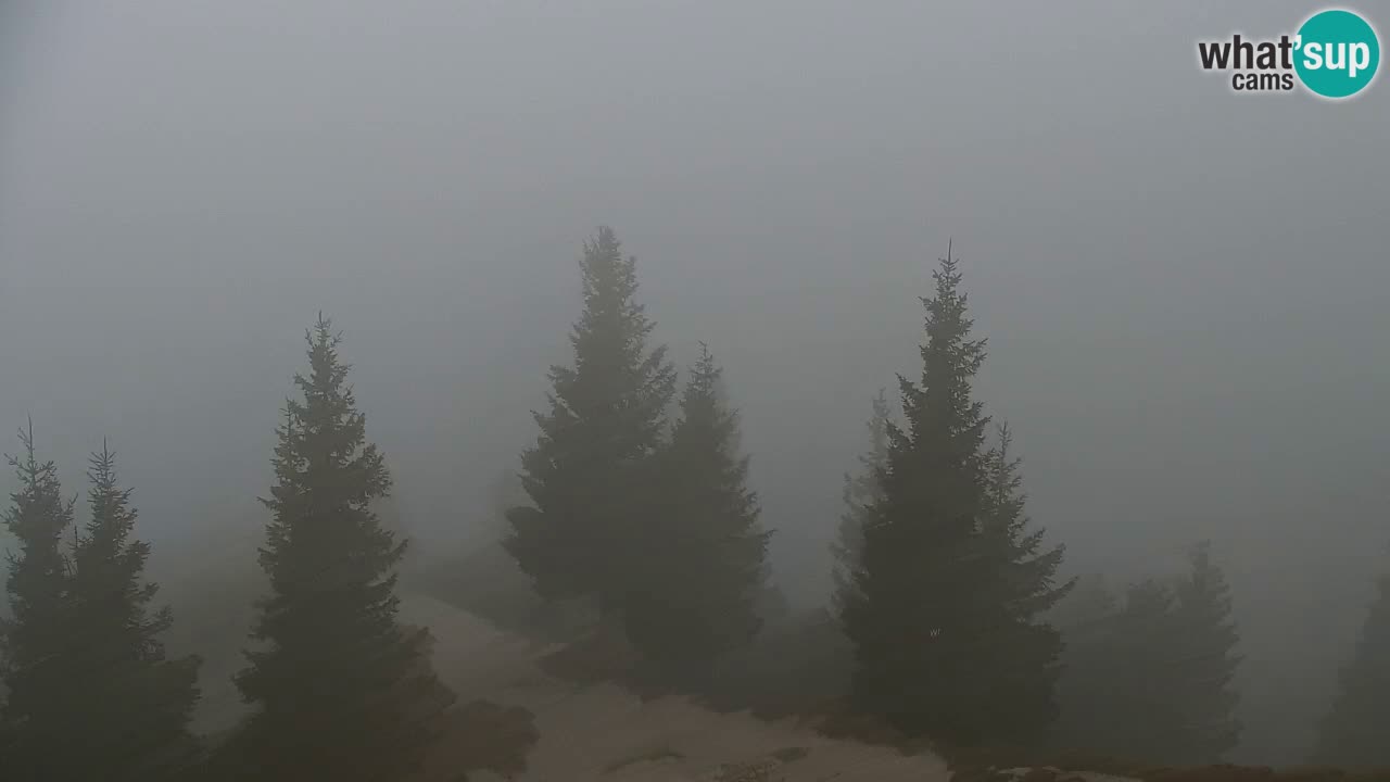 Webcam en Golica (1582 m) – Eslovenia