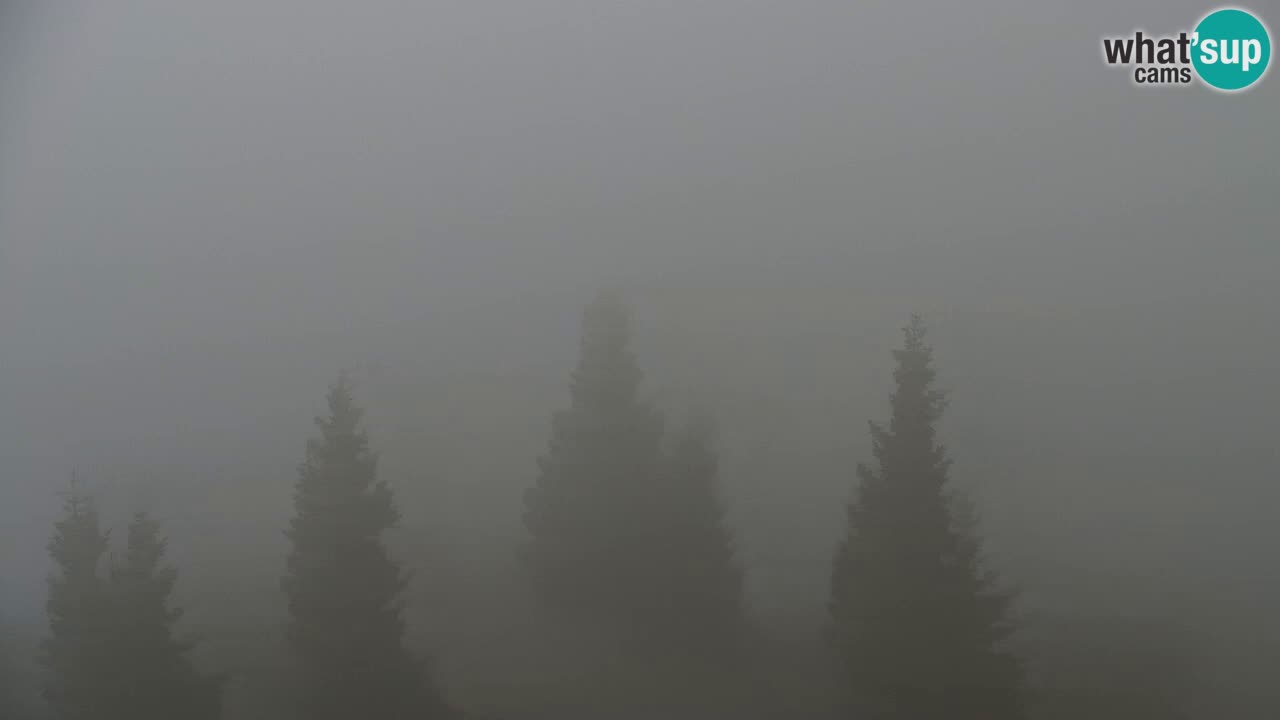 Webcam na Golici – Baita di montagna (1582 m) – Slovenia