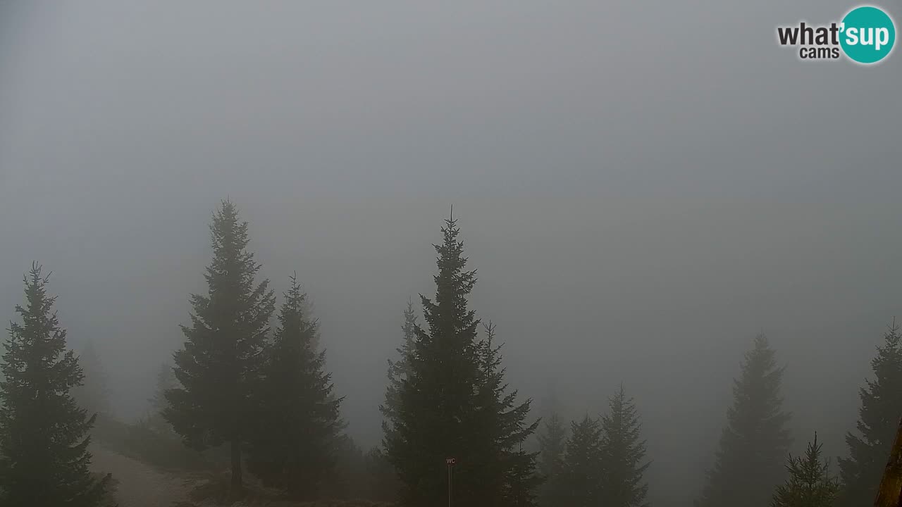 Web kamera Koča na Golici (1582 m) – Slovenija