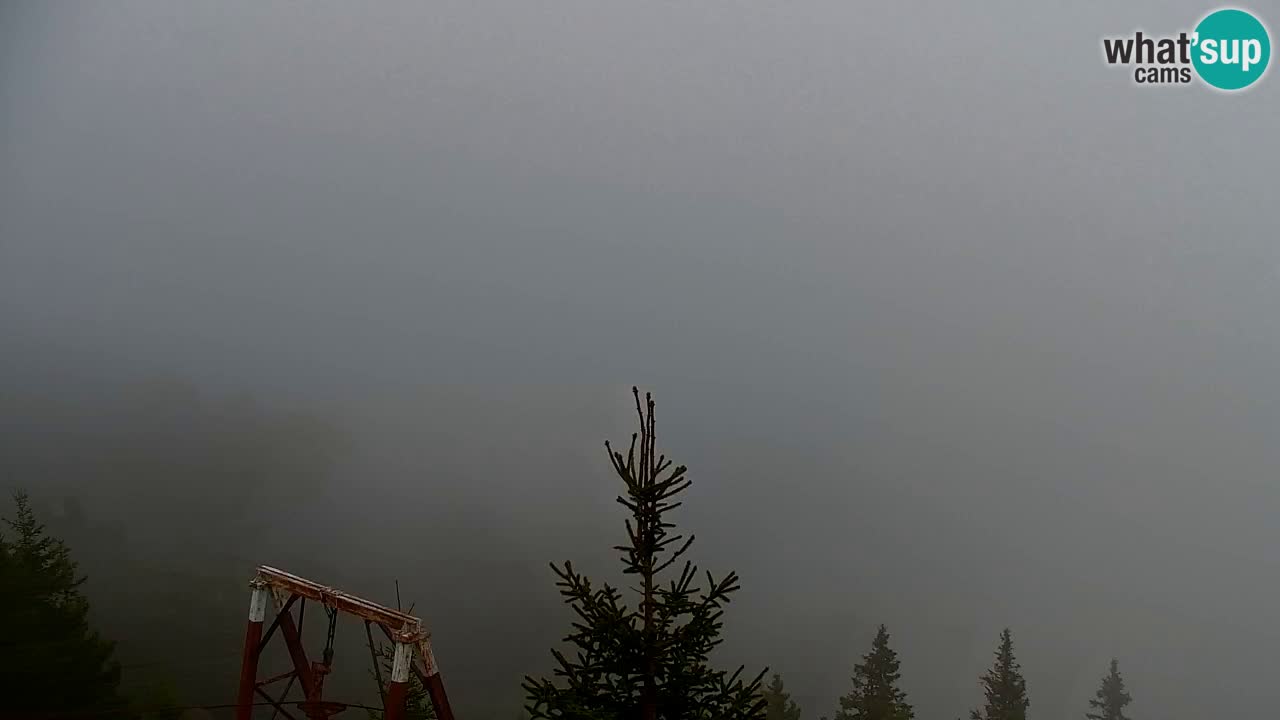 Web kamera Koča na Golici (1582 m) – Slovenija
