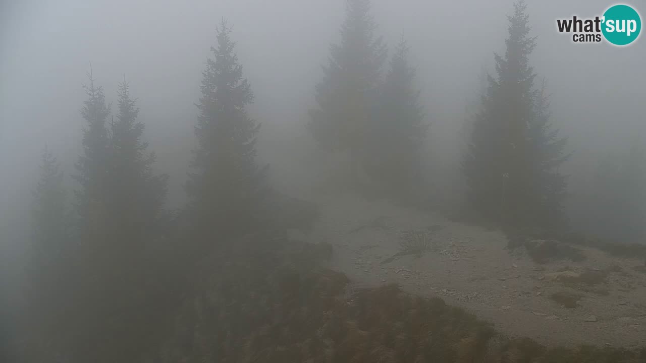 Webcam na Golici – Baita di montagna (1582 m) – Slovenia