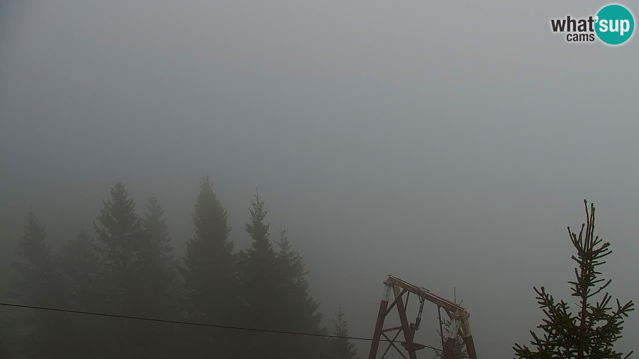 Webcam Koča na Golici (1582 m) – Slovenia