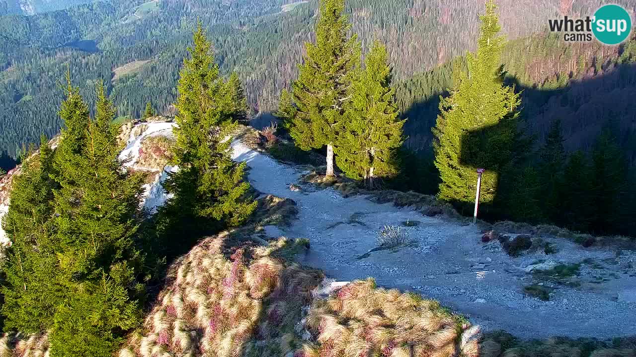 Spletna kamera Koča na Golici (1582 m) – Jesenice