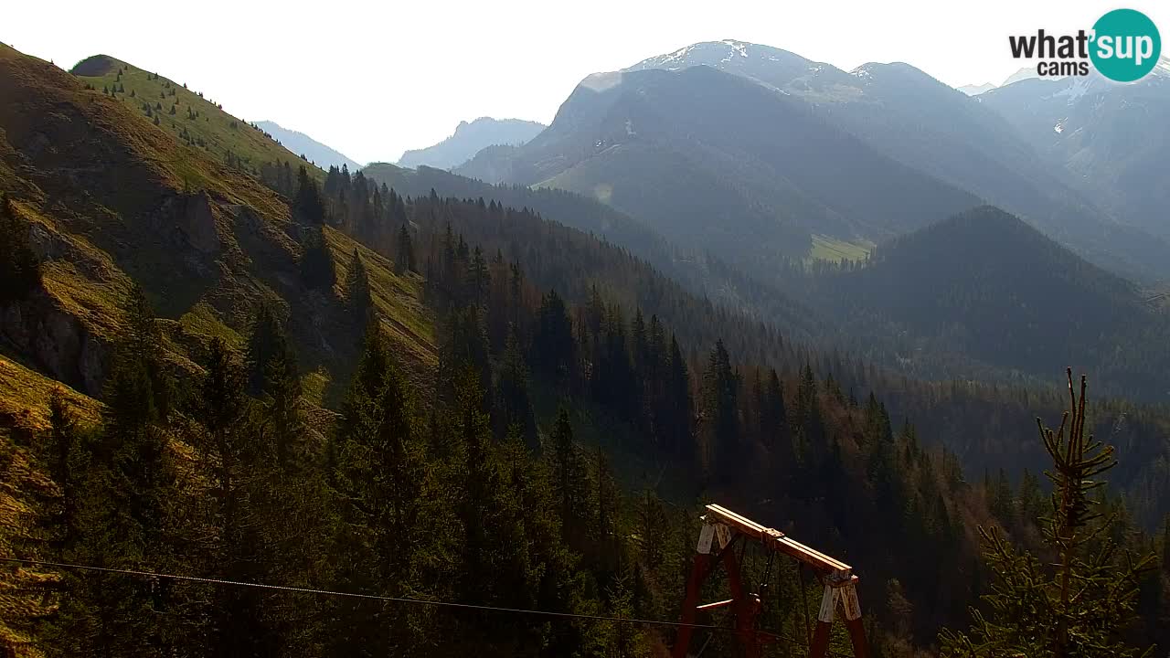 Webcam Koča na Golici (1582 m) – Slovenia