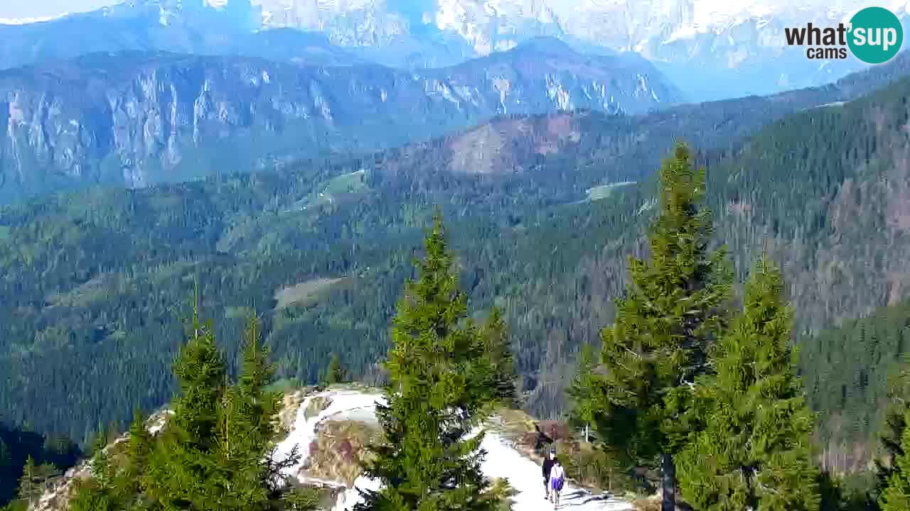 Koča na Golici Webcam (1582 m) – Slowenien