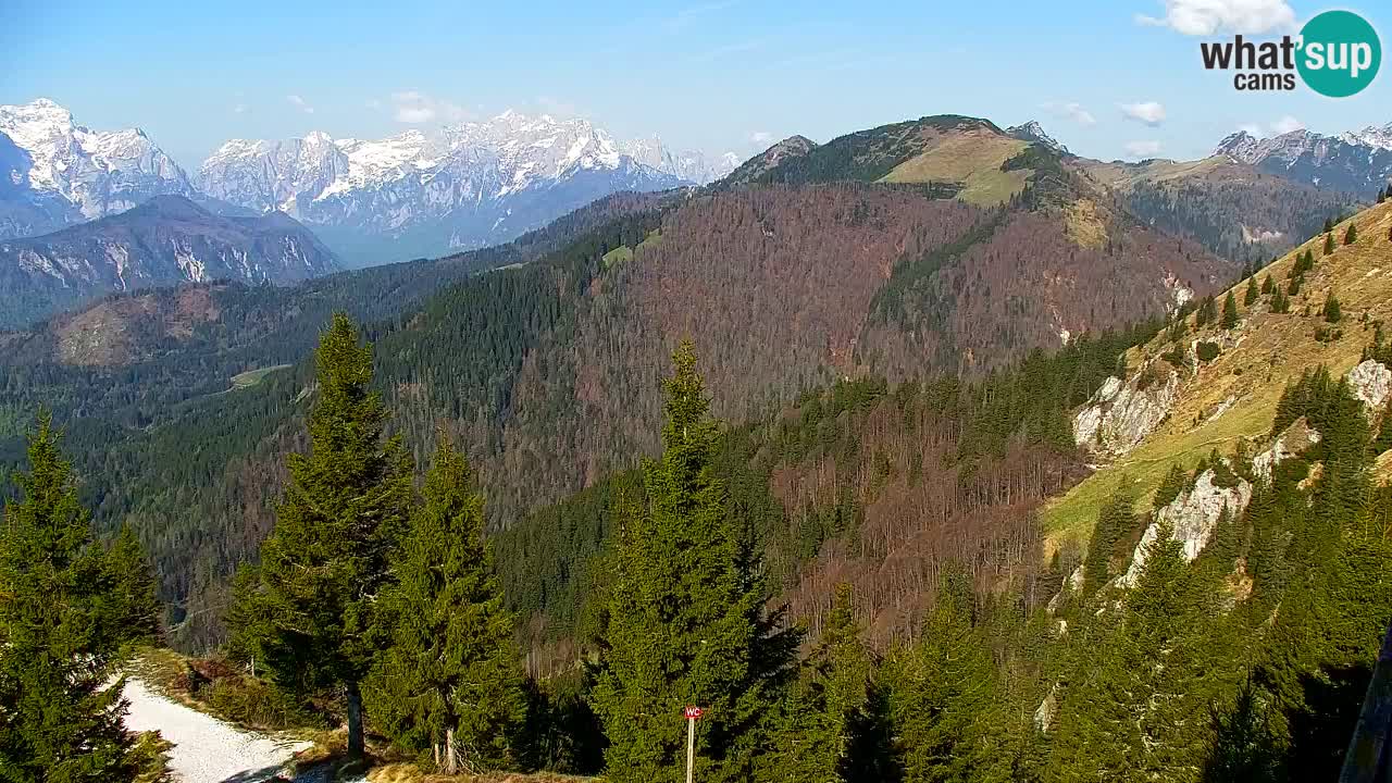 Spletna kamera Koča na Golici (1582 m) – Jesenice