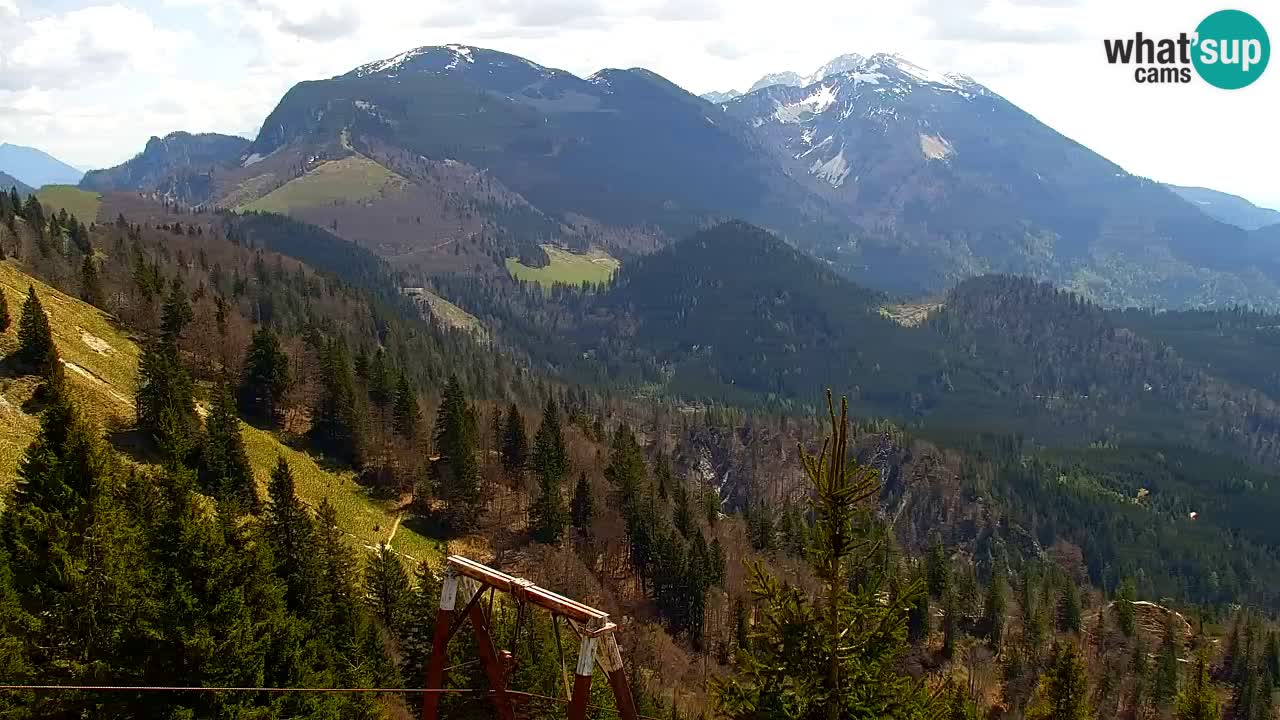 Koča na Golici Webcam (1582 m) – Slowenien