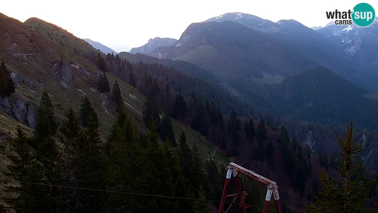 Webcam Koča na Golici (1582 m) – Slovenia