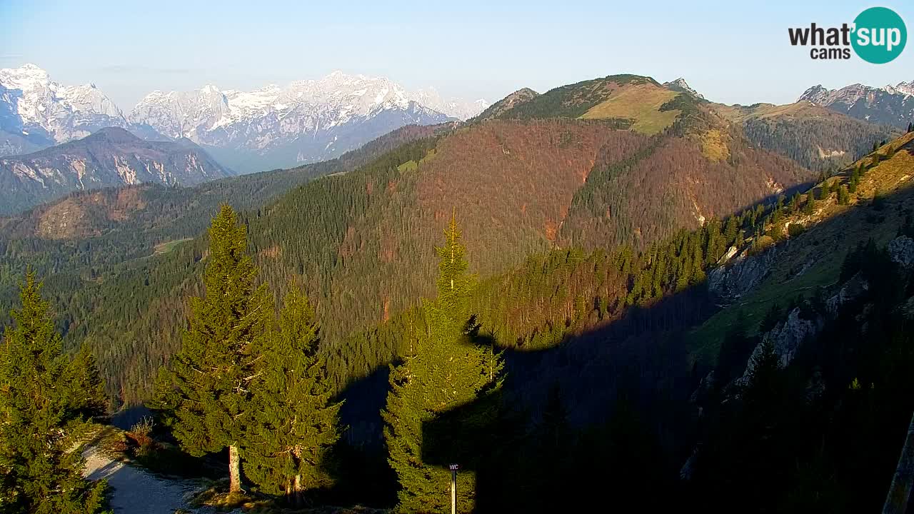 Webcam Koča na Golici (1582 m) – Slovenia