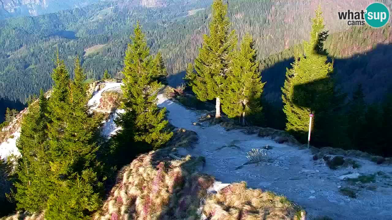 Webcam na Golici – Baita di montagna (1582 m) – Slovenia