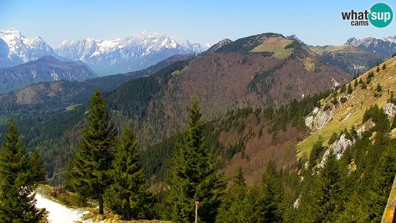 Webcam Chalet sur Golica (1582 m) – Slovénie