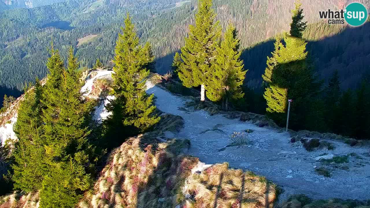 Webcam Chalet sur Golica (1582 m) – Slovénie