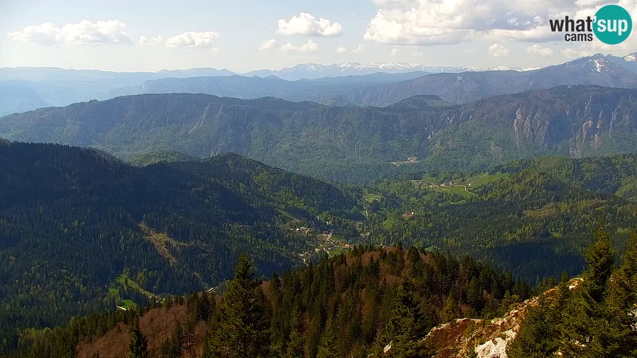 Web kamera Koča na Golici (1582 m) – Slovenija