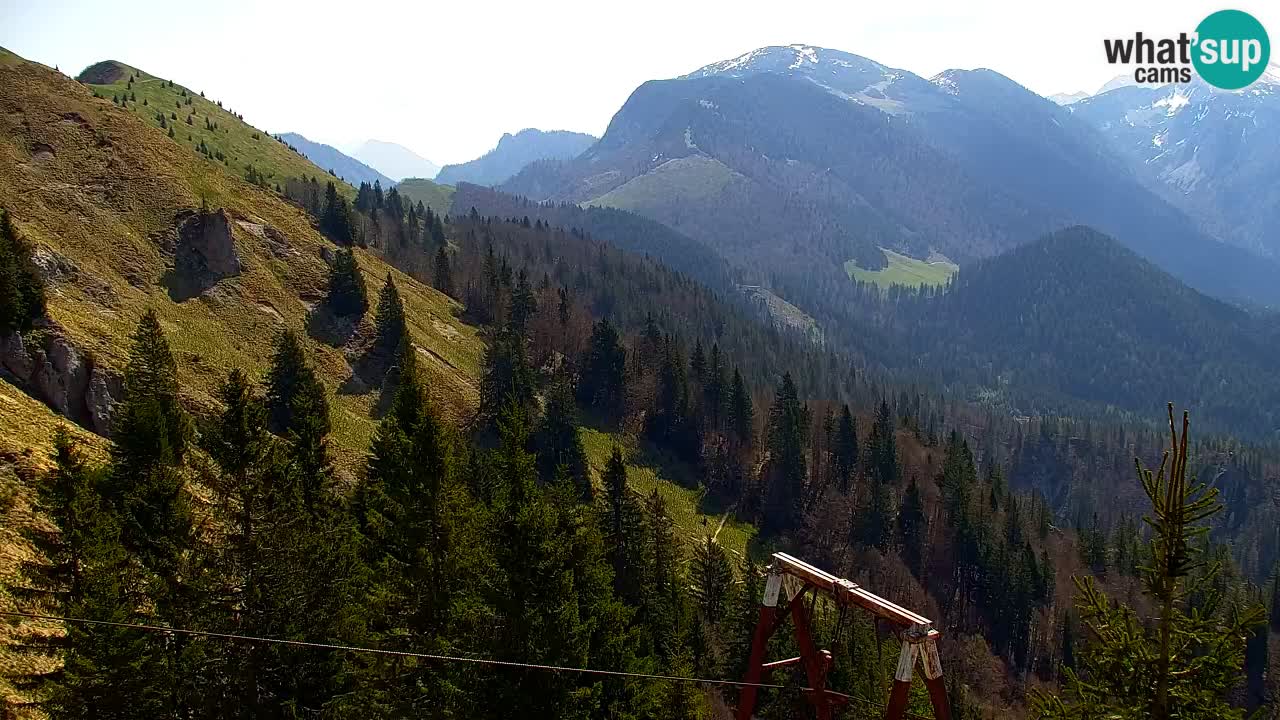 Koča na Golici Webcam (1582 m) – Slowenien