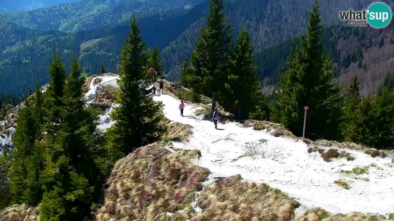Spletna kamera Koča na Golici (1582 m) – Jesenice