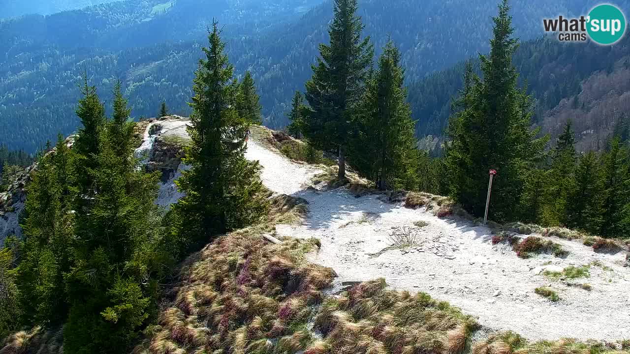 Koča na Golici Webcam (1582 m) – Slowenien