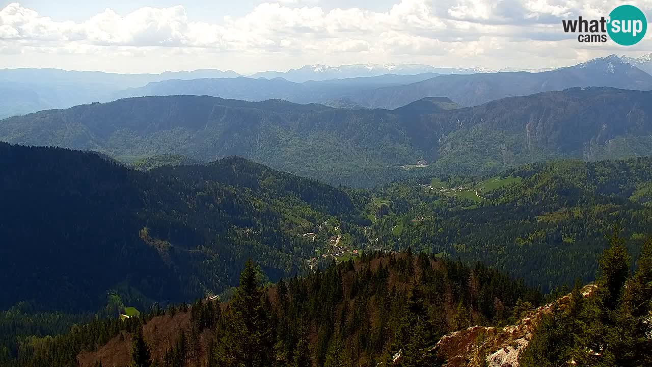 Webcam Koča na Golici (1582 m) – Slovenia
