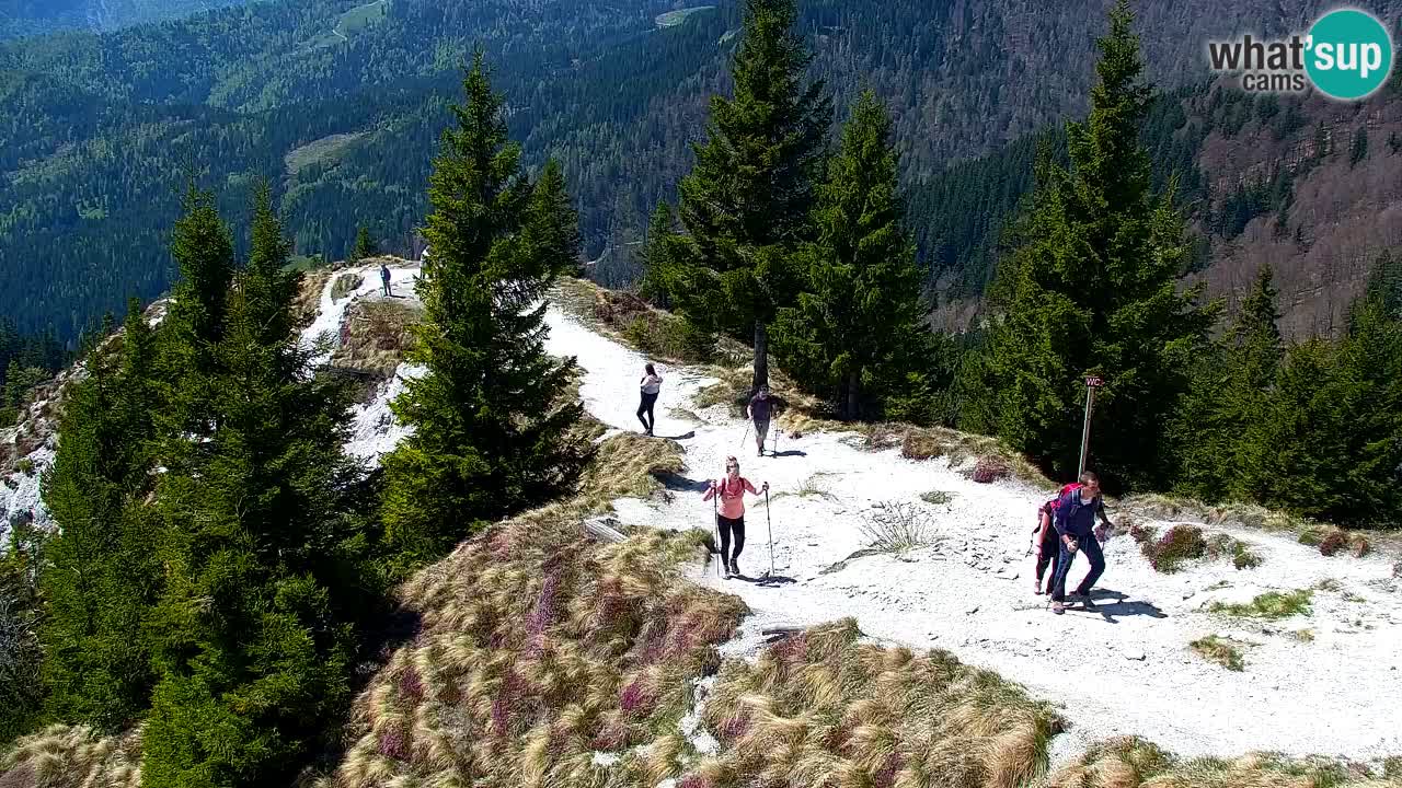 Webcam Koča na Golici (1582 m) – Slovenia
