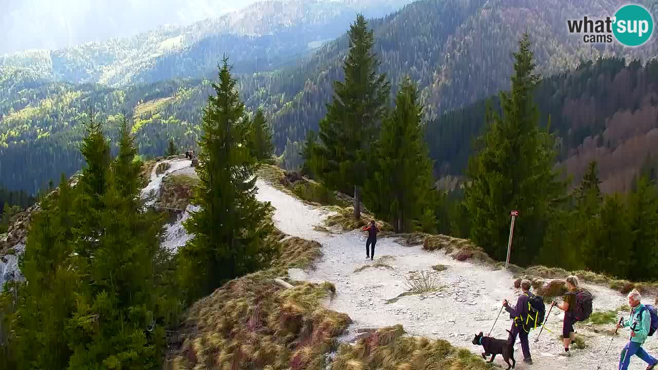 Webcam Chalet sur Golica (1582 m) – Slovénie