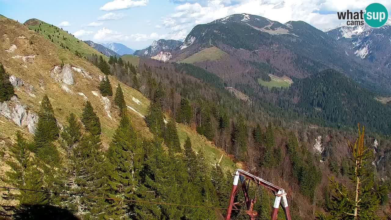 Web kamera Koča na Golici (1582 m) – Slovenija
