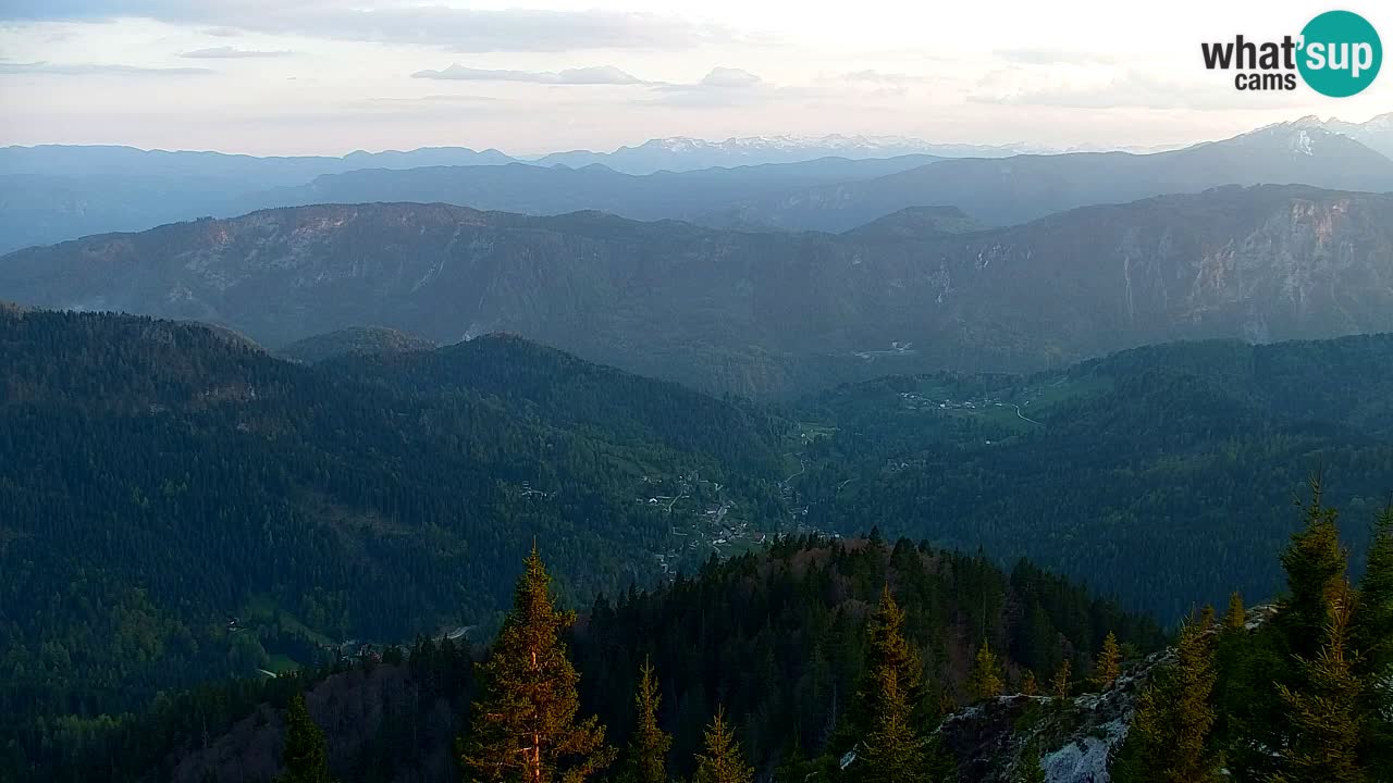 Webcam Koča na Golici (1582 m) – Slovenia