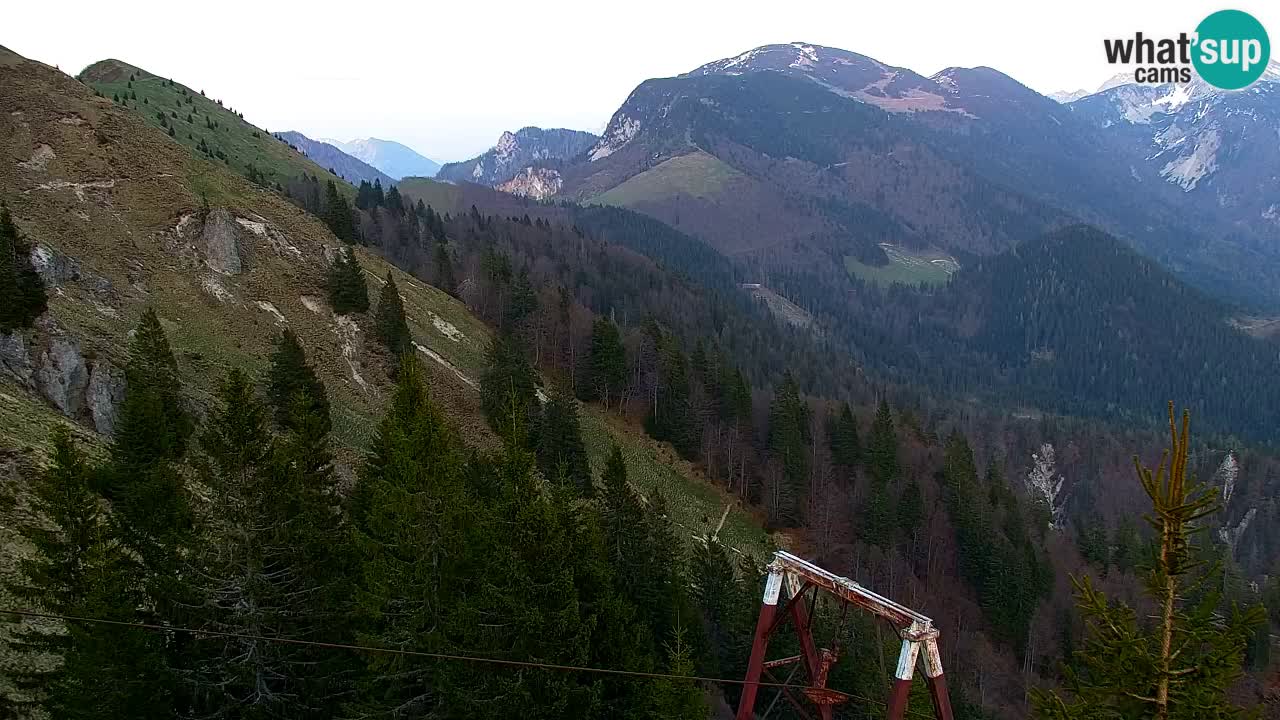 Koča na Golici Webcam (1582 m) – Slowenien