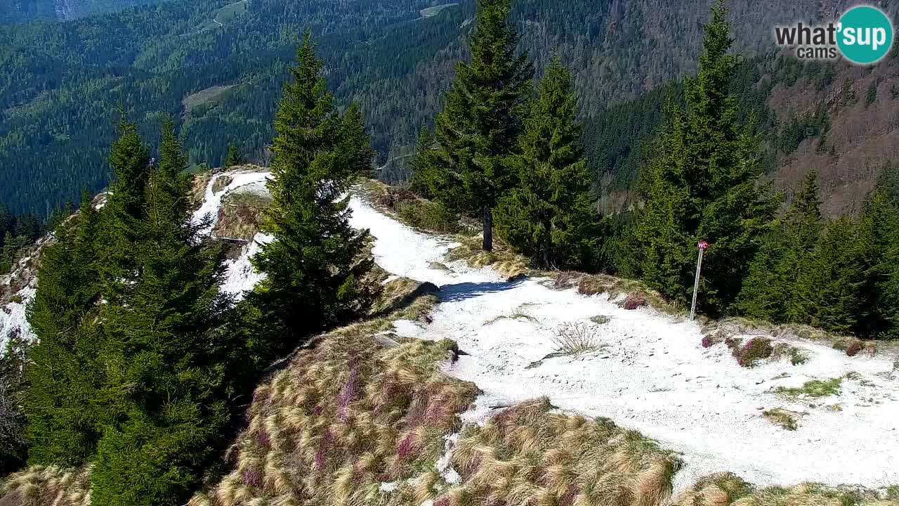 Spletna kamera Koča na Golici (1582 m) – Jesenice