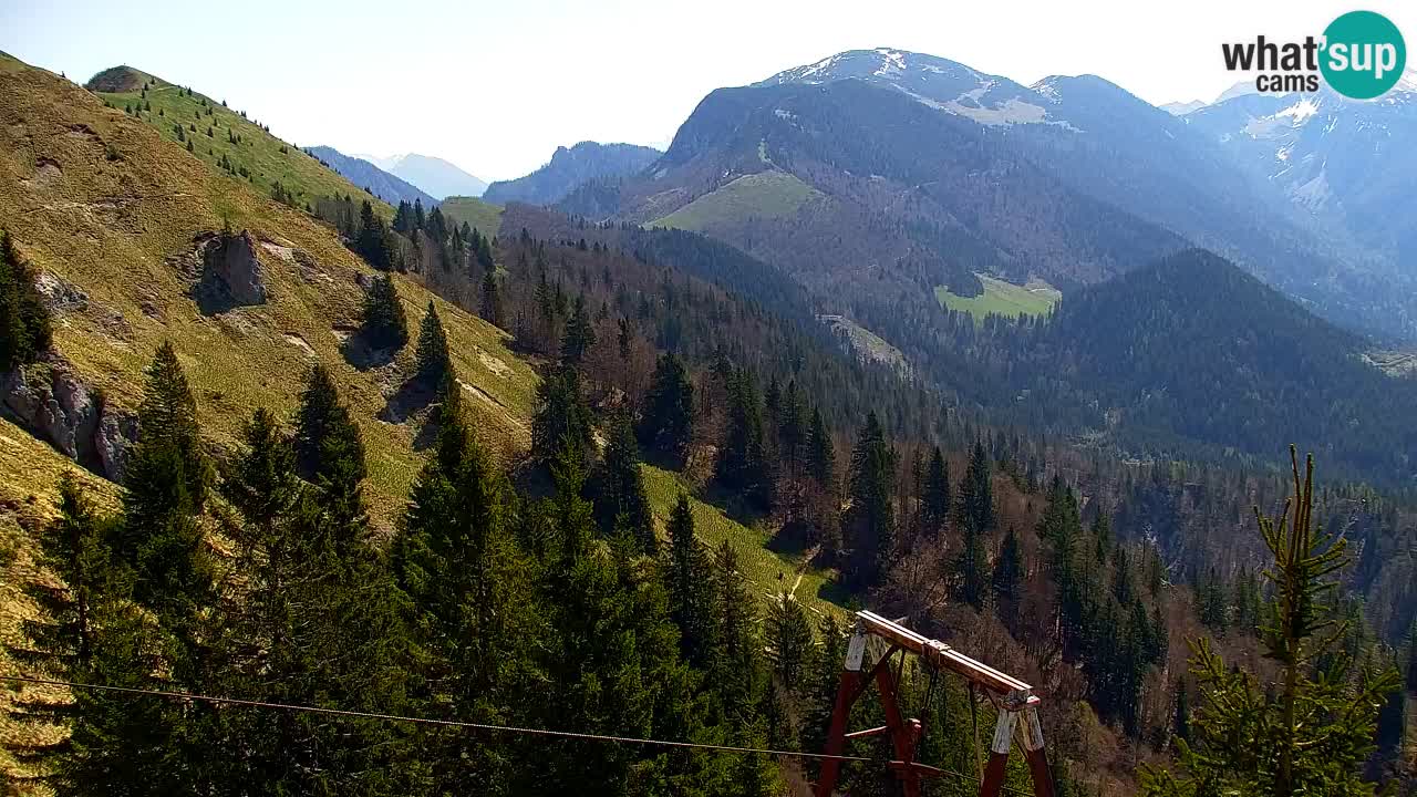Webcam Koča na Golici (1582 m) – Slovenia