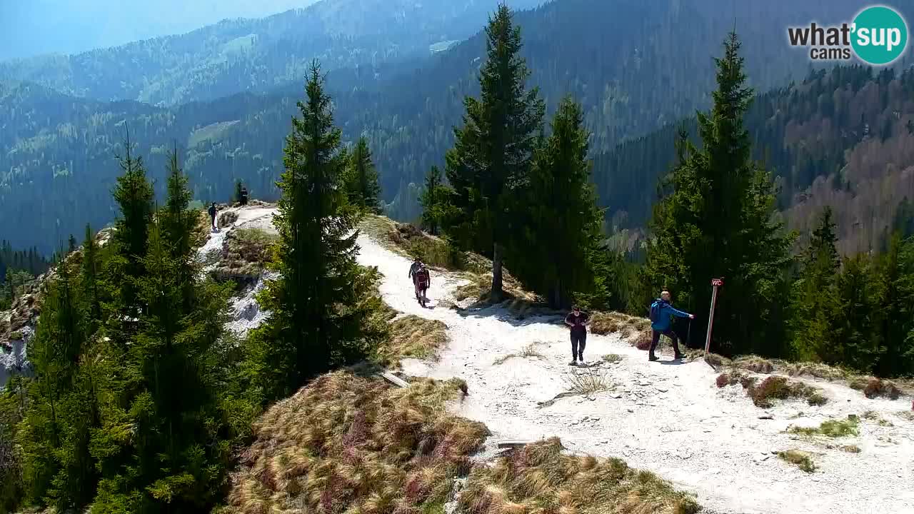 Webcam Chalet sur Golica (1582 m) – Slovénie