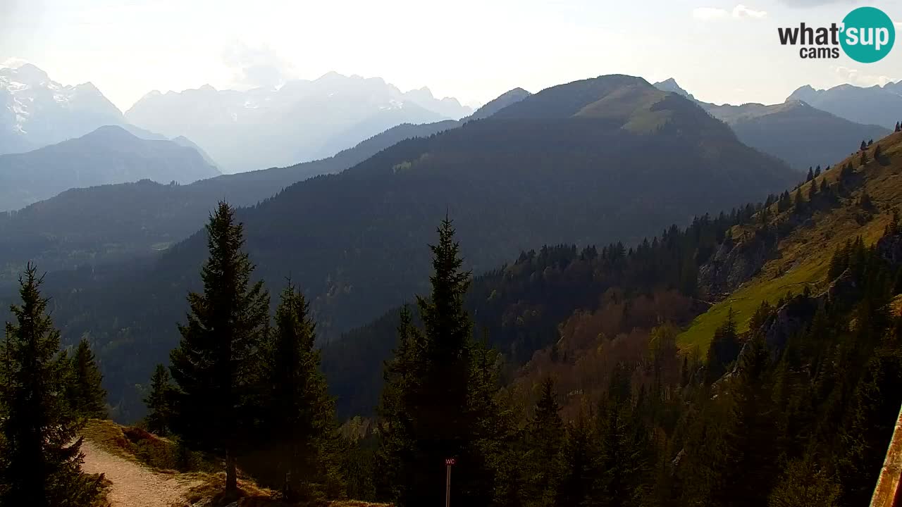 Webcam Koča na Golici (1582 m) – Slovenia