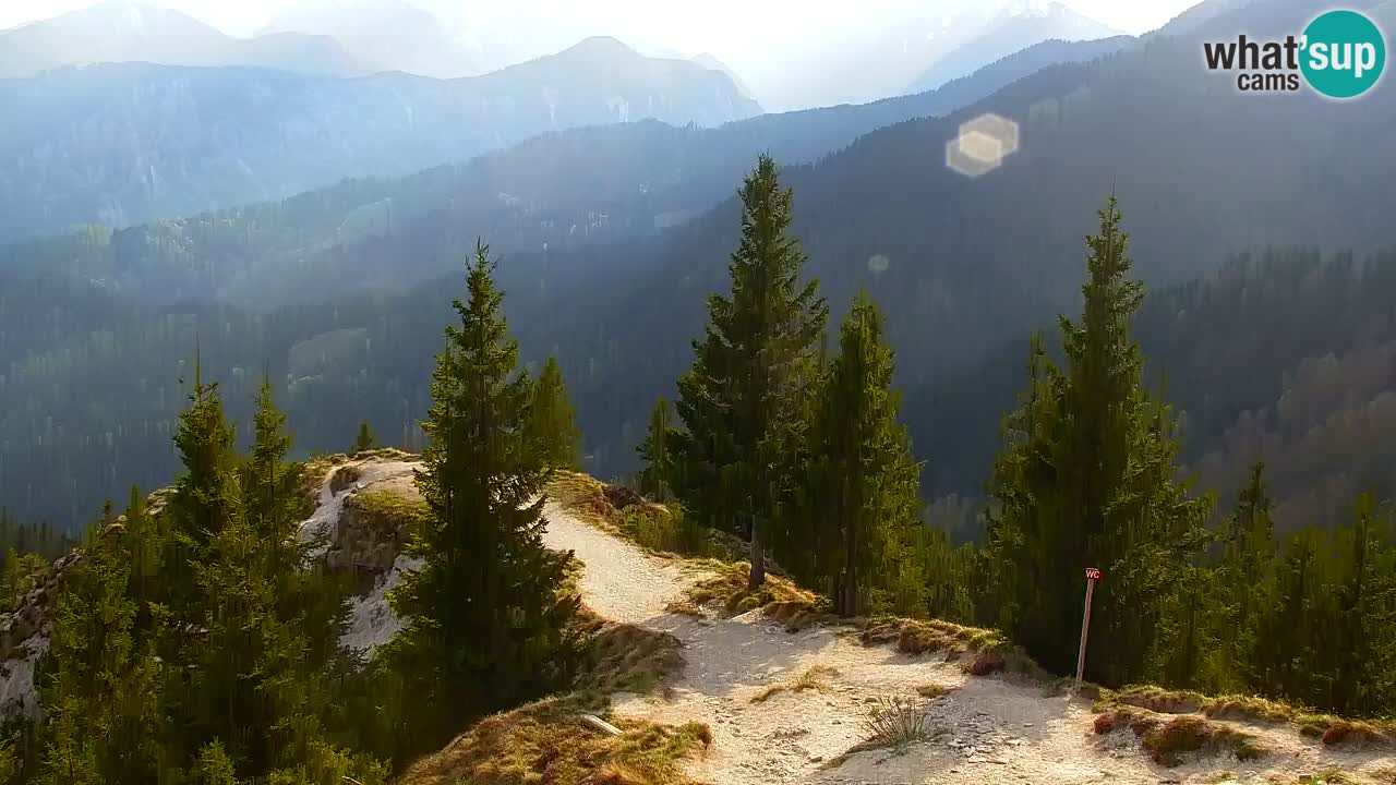 Webcam Koča na Golici (1582 m) – Slovenia