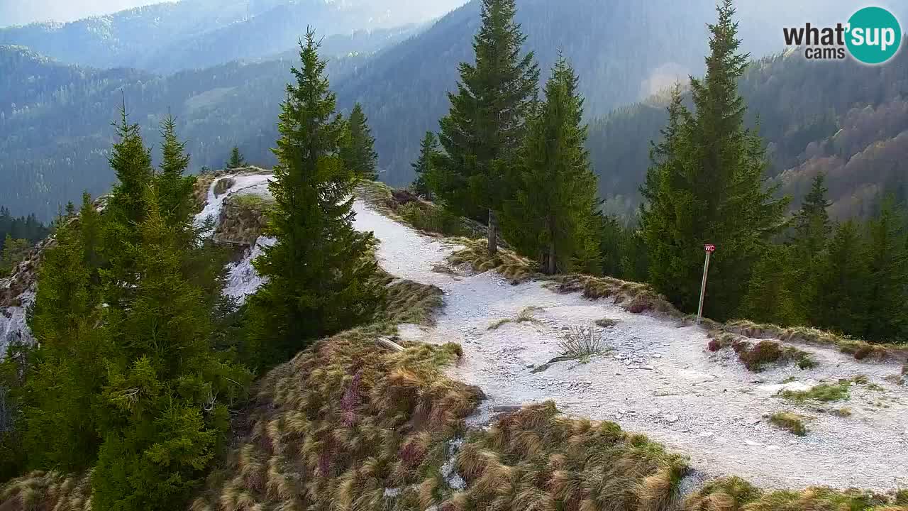 Webcam Koča na Golici (1582 m) – Slovenia