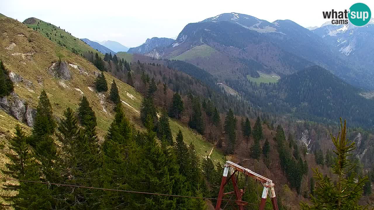 Web kamera Koča na Golici (1582 m) – Slovenija