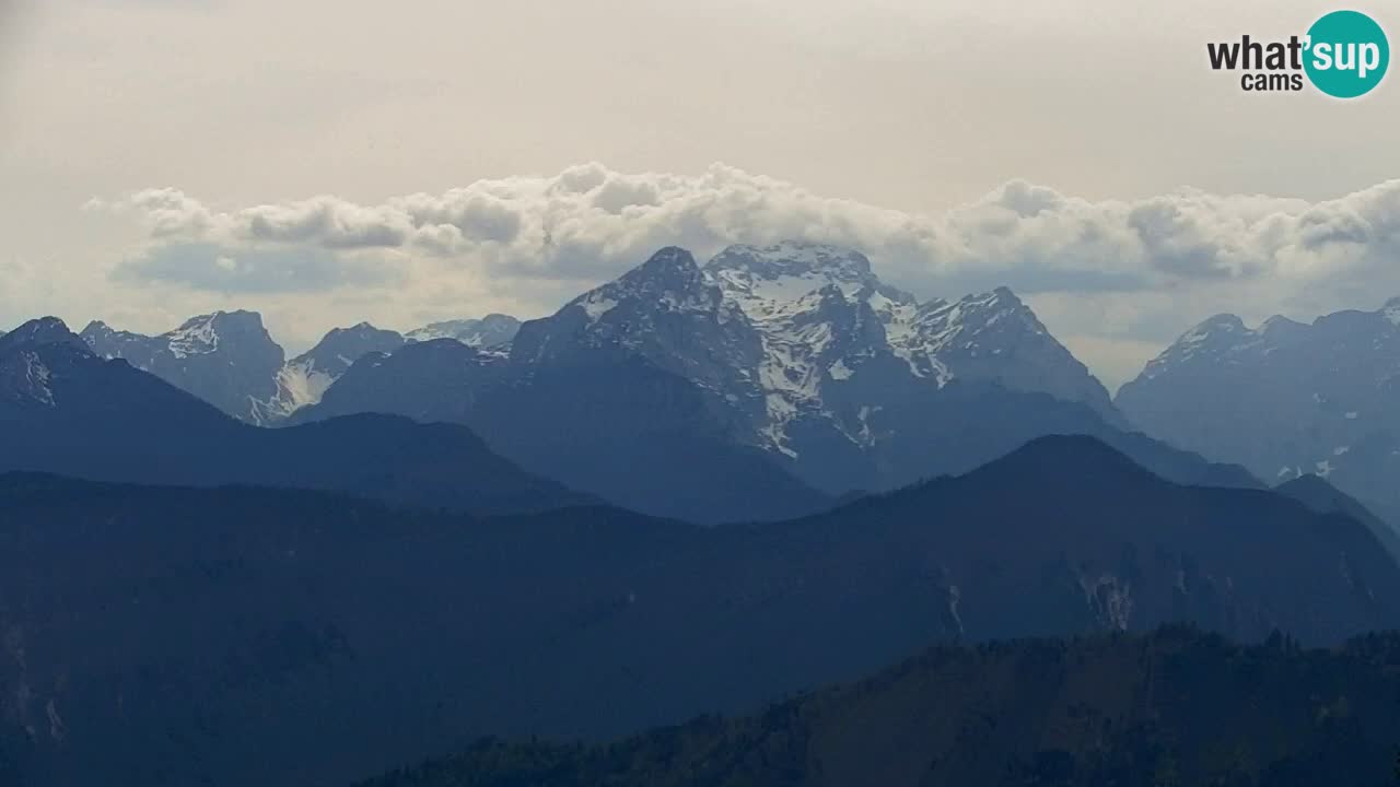 Koča na Golici Webcam (1582 m) – Slowenien