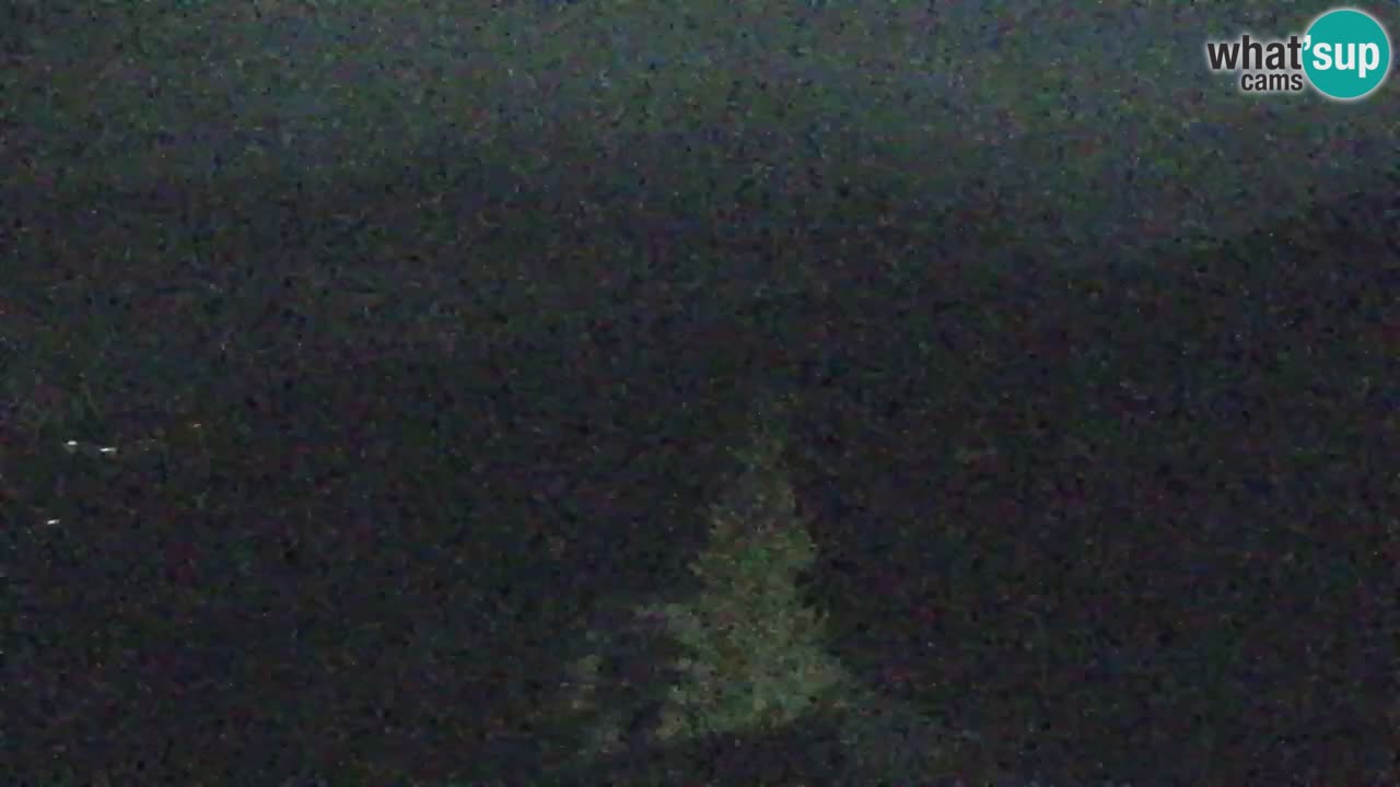 Webcam Koča na Golici (1582 m) – Slovenia