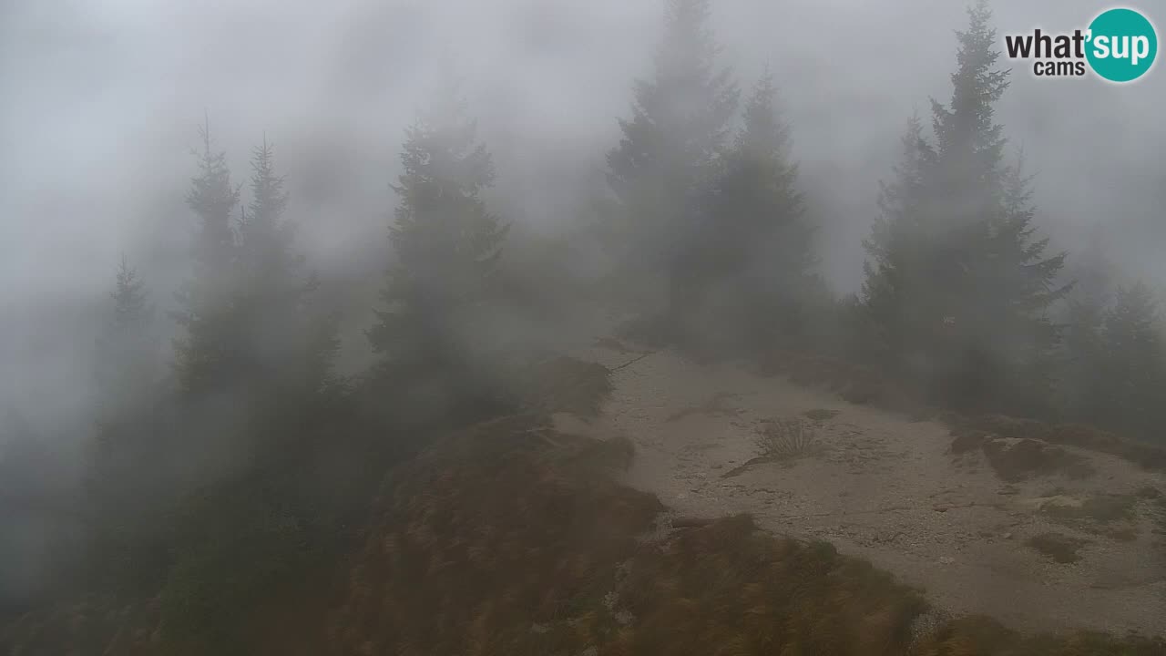 Webcam na Golici – Baita di montagna (1582 m) – Slovenia
