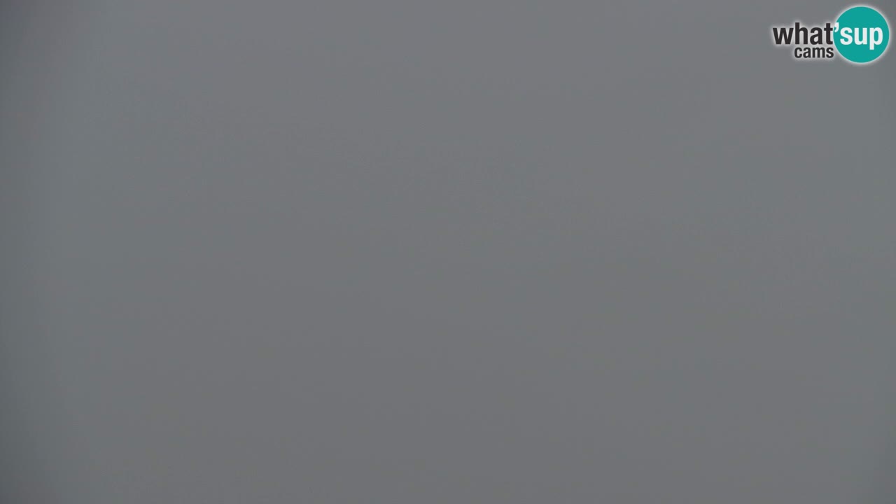 Koča na Golici Webcam (1582 m) – Slowenien