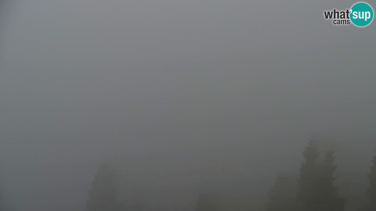 Webcam Koča na Golici (1582 m) – Slovenia