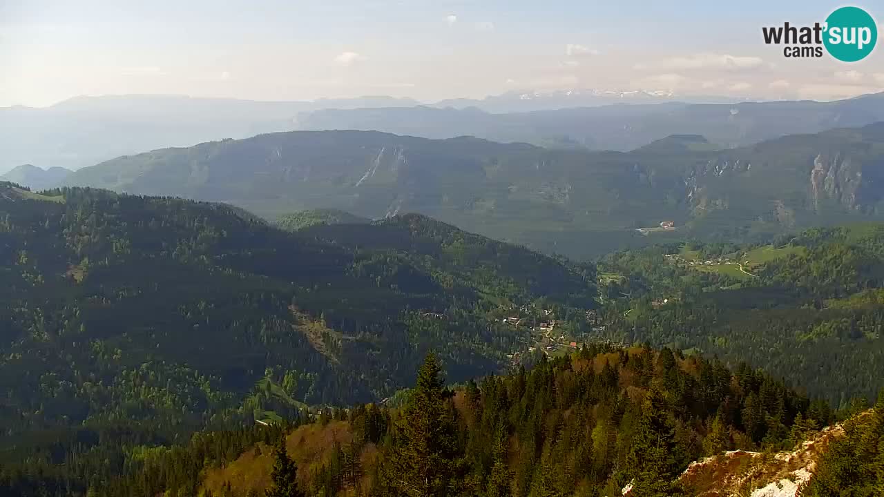 Webcam Koča na Golici (1582 m) – Slovenia