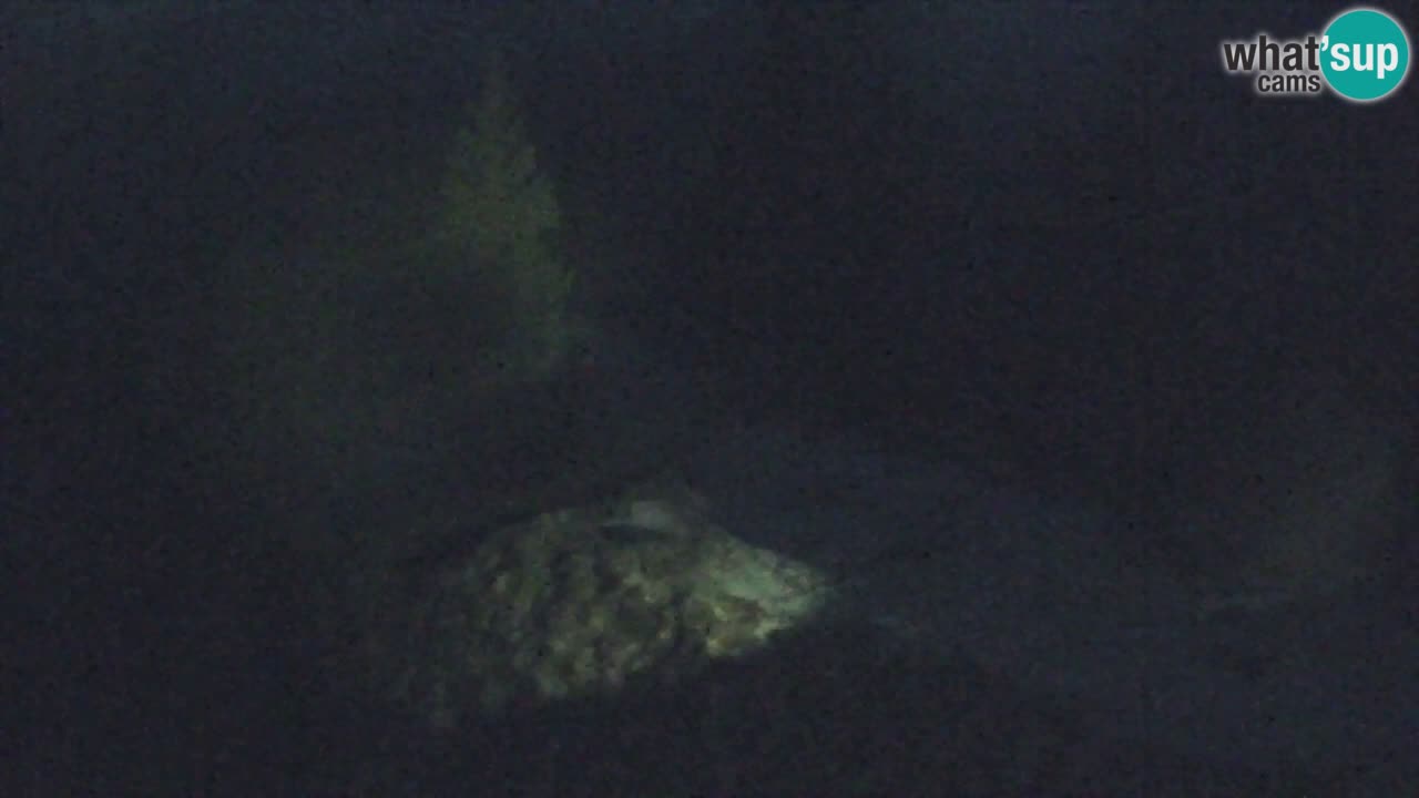 Webcam Koča na Golici (1582 m) – Slovenia