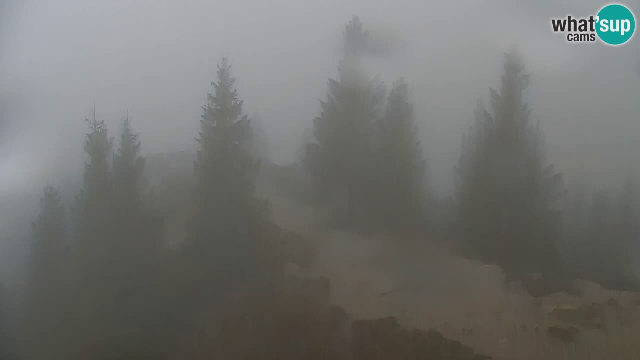 Spletna kamera Koča na Golici (1582 m) – Jesenice