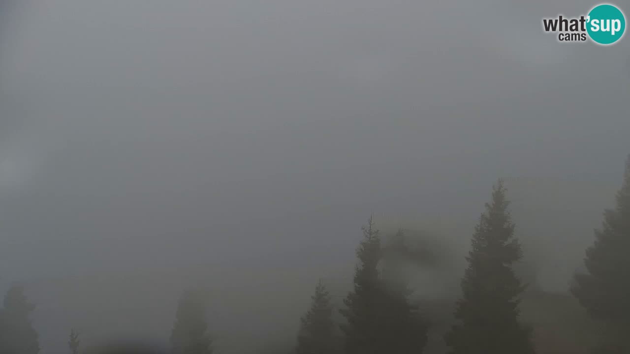 Webcam na Golici – Baita di montagna (1582 m) – Slovenia