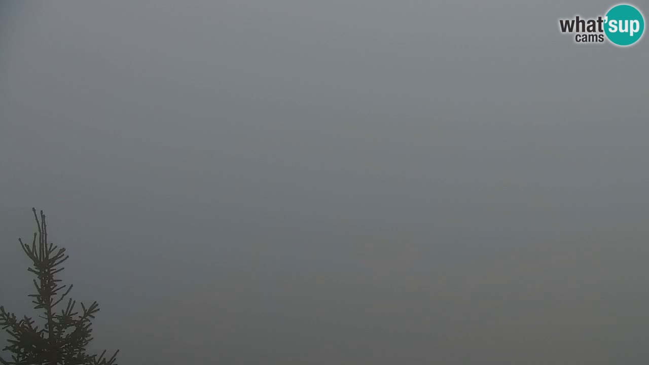 Web kamera Koča na Golici (1582 m) – Slovenija