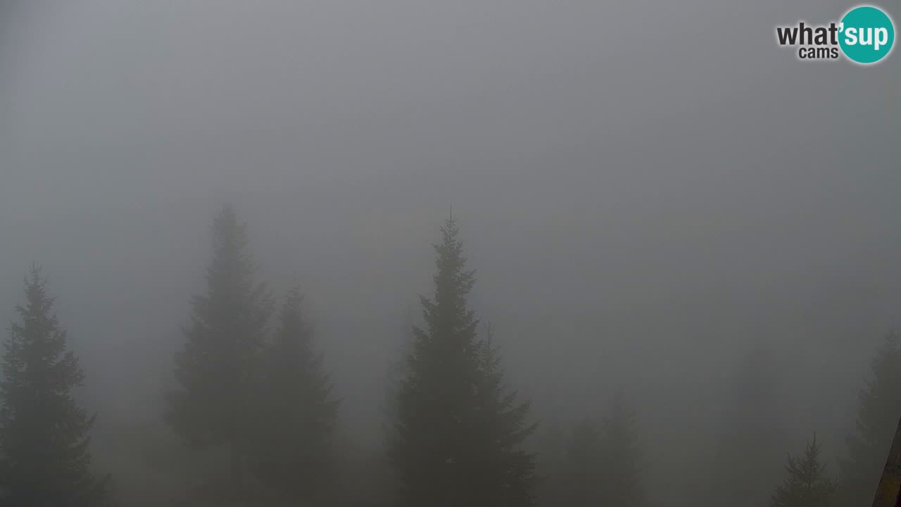 Spletna kamera Koča na Golici (1582 m) – Jesenice