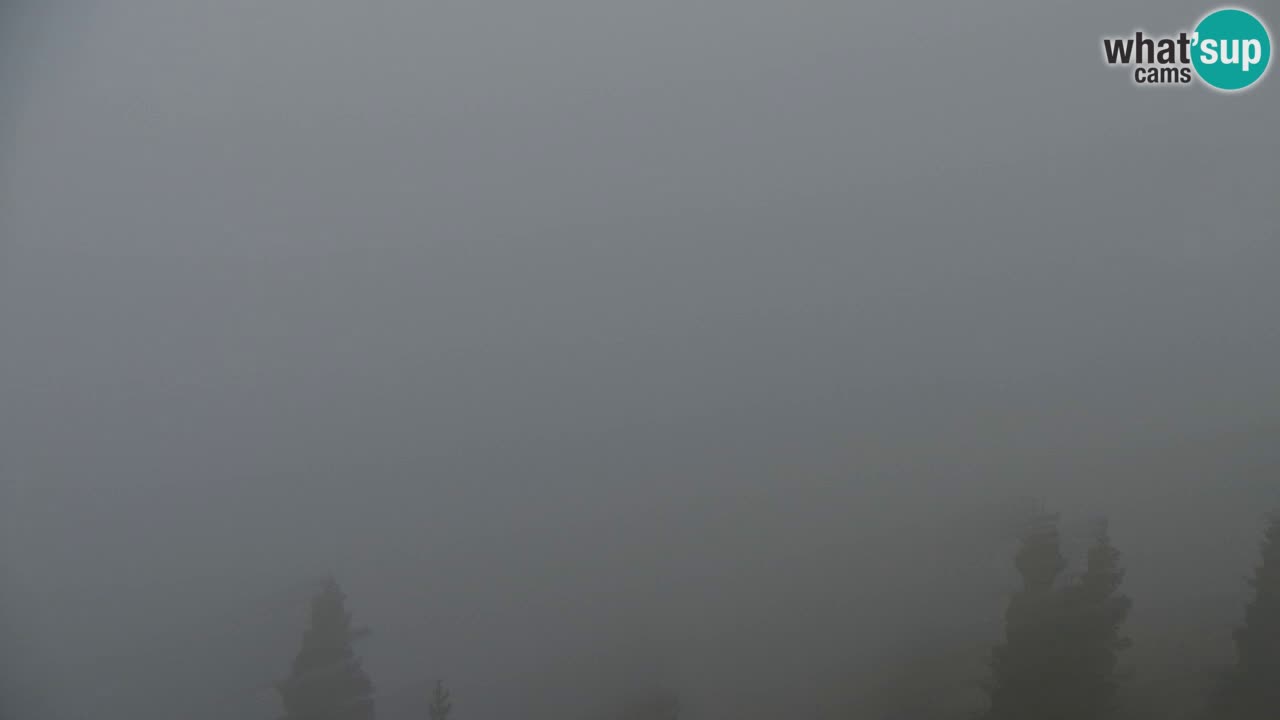 Spletna kamera Koča na Golici (1582 m) – Jesenice