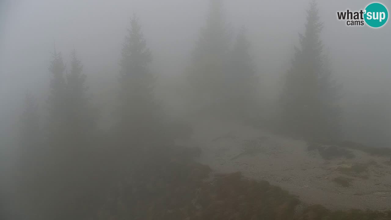 Webcam na Golici – Baita di montagna (1582 m) – Slovenia