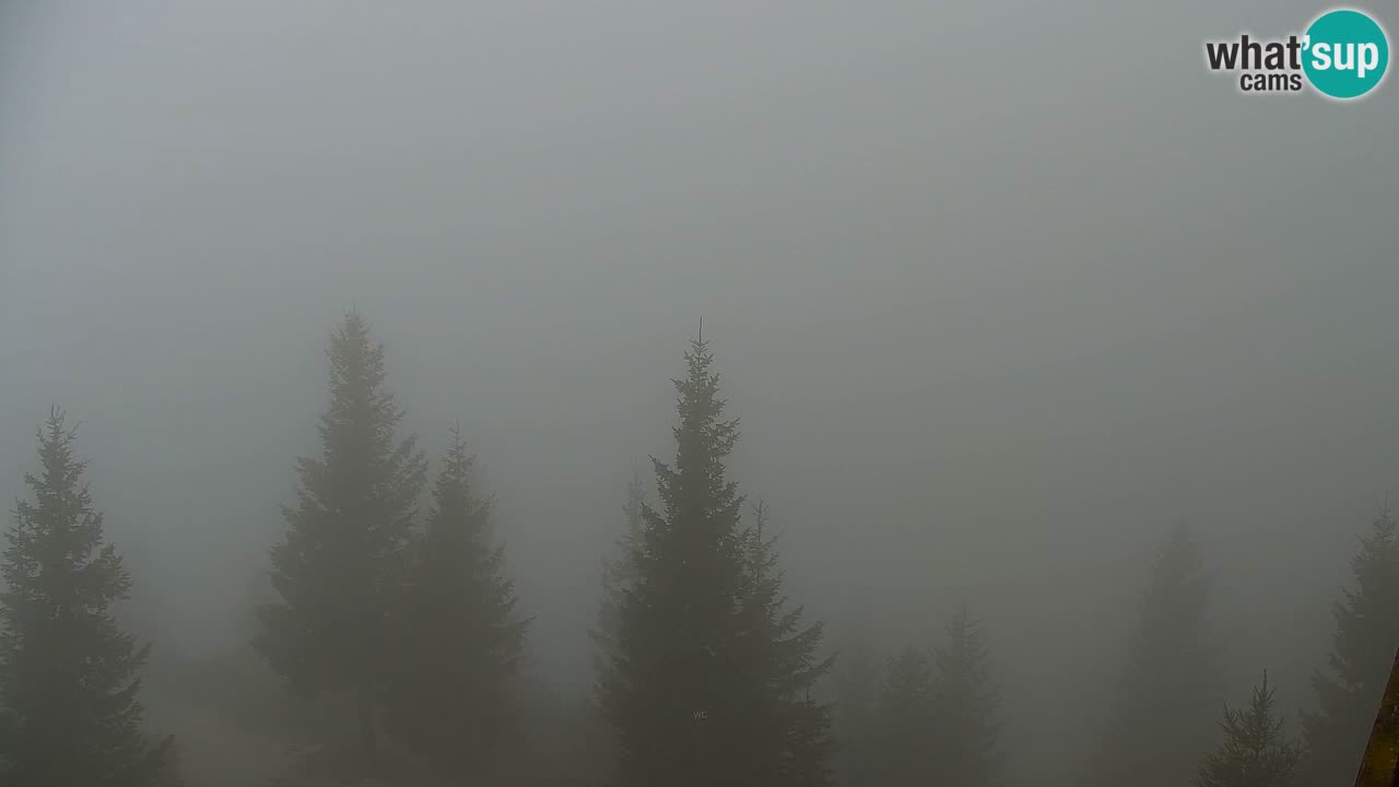 Koča na Golici Webcam (1582 m) – Slowenien